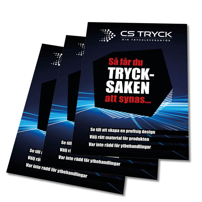 Flyer